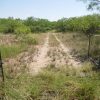 6245 HWY 83, Winters
